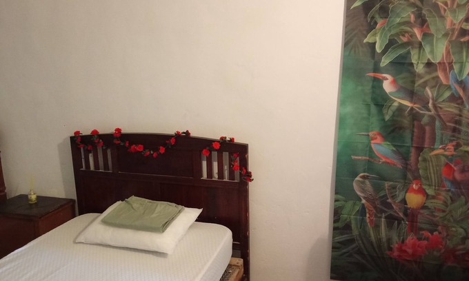 El Partidor House | A quirky cave house in rural Murcia province - La Cueva (The Brave Stays)