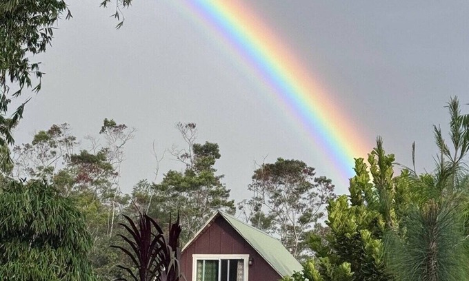 Hilo Cabin | A Rainforest Eco-Lodge on the Hamakua Coast
