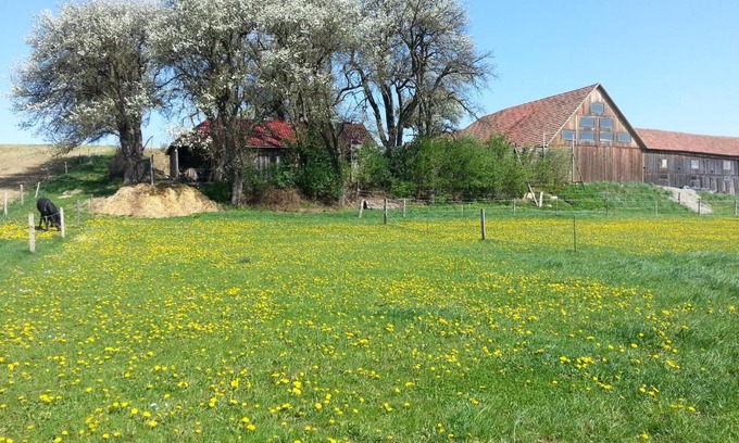 Bischofstetten House | A-Sissy-Hof