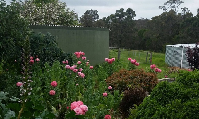 Kalgan Other | A spacious riverside retreat suited to families, larger groups and couples