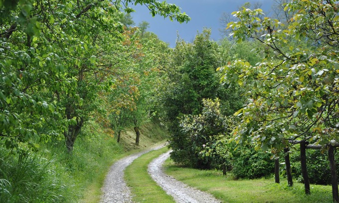 Radicondoli Other | A wholly converted barn with all comforts, ideal for a quiet holiday!