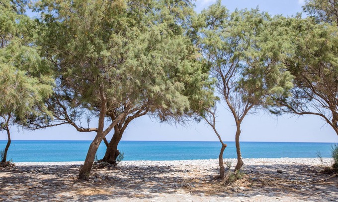 Kamisiana House | Aadonis Villa