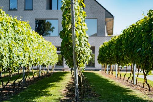 Appels Hotel | Abalona Hotel & Apartments