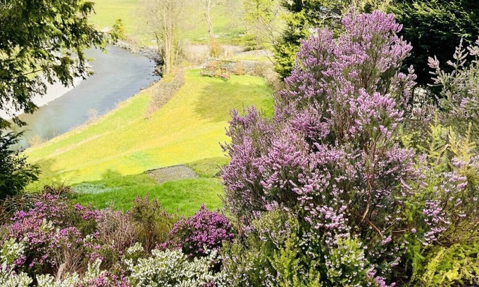 Machynlleth House | Aberhiriaeth Hall - Five Bedroom House, Sleeps 12