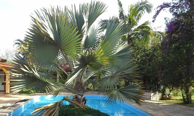 Jundiai House | ACCOMMODATES FAMILIES WITH CHILDREN AND ANIMALS