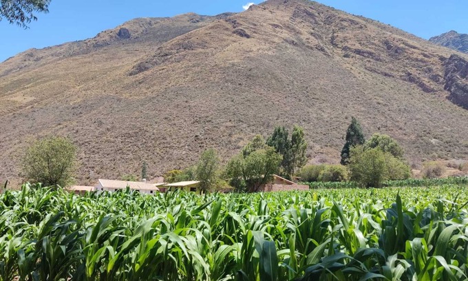 Urubamba House | Adobe house close to all the attractions of the Sacred Valley