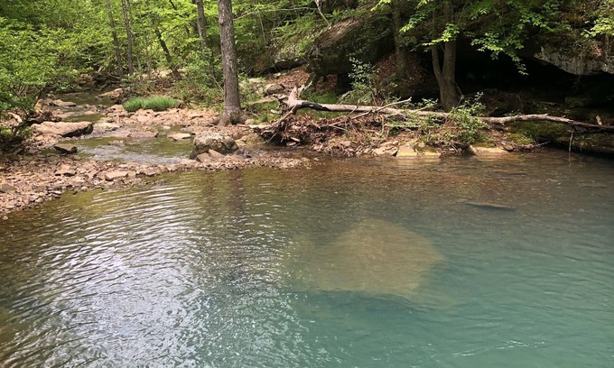 Deer Cabin | Adventure Awaits at the Deer Trails Cabin!