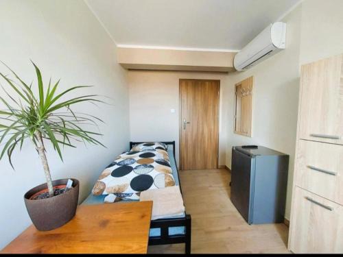Ujazd Apartment | AE BERG Apartamenty