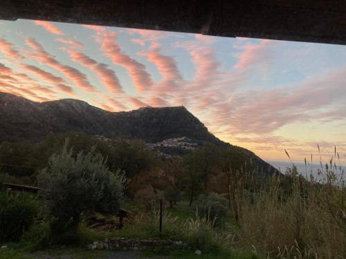 Maratea House | Affittacamere L’ Agrumeto