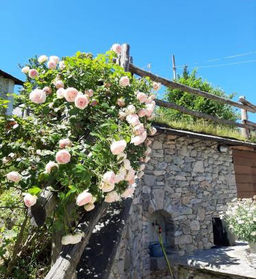 Roccaforte Mondovi House | Affittacamere La Lea