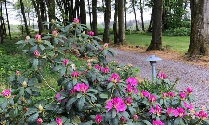 Holstebro Bed & Breakfast | Agerfeld Gl Skole