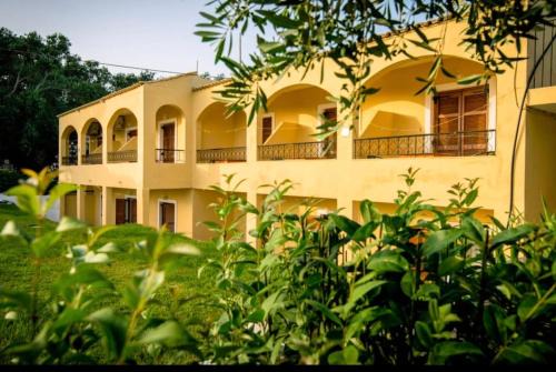 Agios Georgios Pagon Apartment | Agrilia Studios No 5