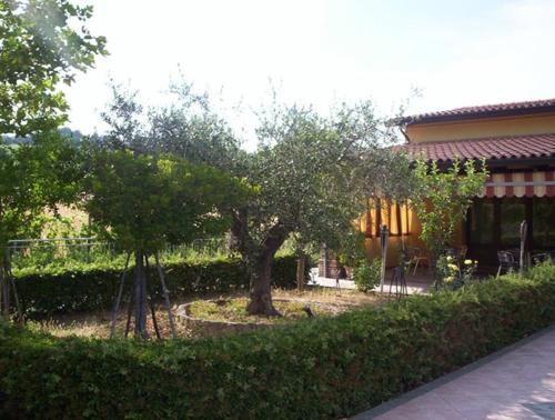 Bertinoro House | Agriturismo 7 Colonne