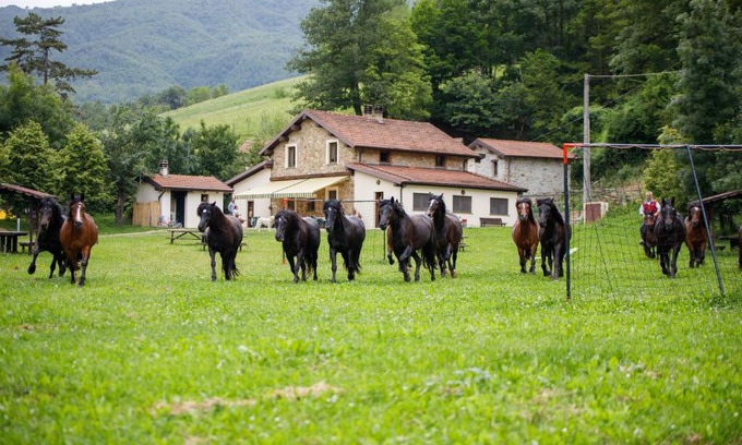 Bedonia House | Agriturismo Carovane