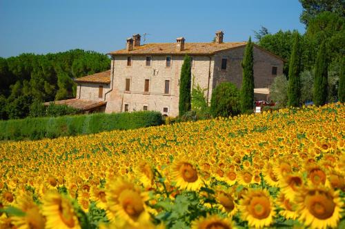 Loreto House | Agriturismo Casale Dei Frontini