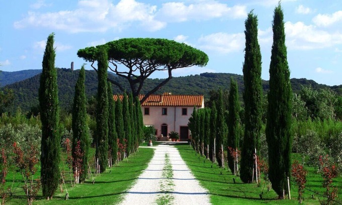 Donoratico House | Agriturismo Ceralti - Ginestra