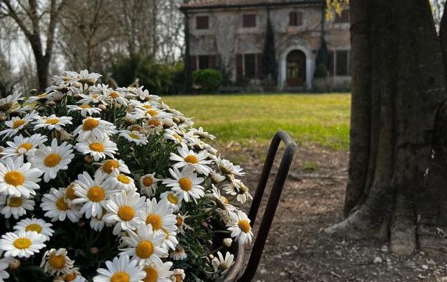 Mantua House | Agriturismo Corte San Girolamo