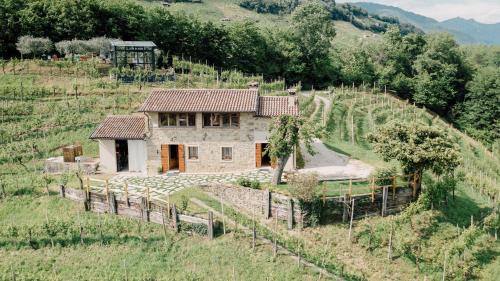 Miane House | Agriturismo Il Conte Vassallo