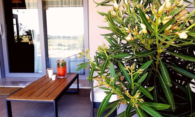 Magliano in Toscana Other | Agriturismo Le Piccole Macie