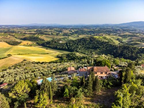 Certaldo Bed & Breakfast | Agriturismo La Collina degli Olivi