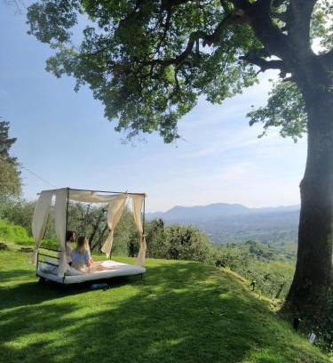Valgiano House | Agriturismo La Forestaria