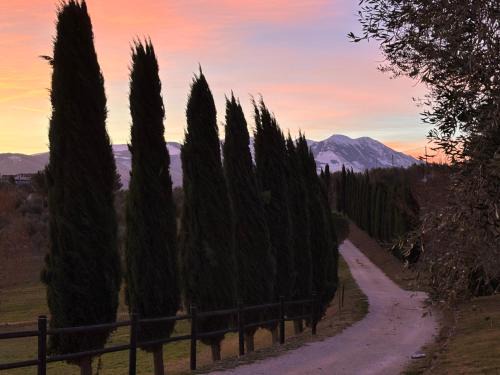 Alanno House | Agriturismo La Masseria - La casa tra gli alberi