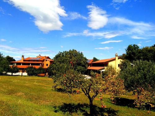 Duino-Aurisina House | Agriturismo Radovic