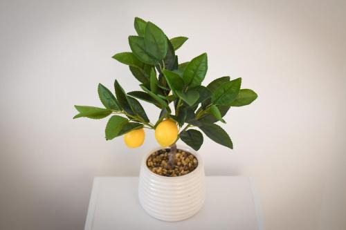 Chichester Apartment | Air Maison - Whyke Haven Modern Apartment with Private Parking