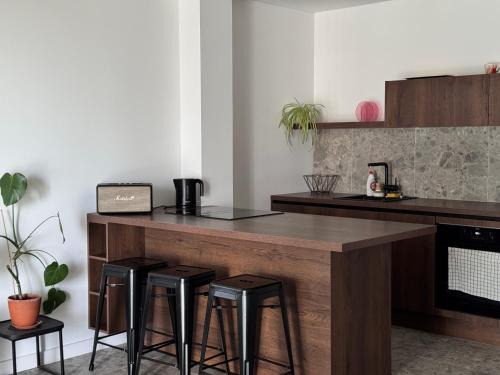Kaunas Apartment | Airy Flat with a roof terrace