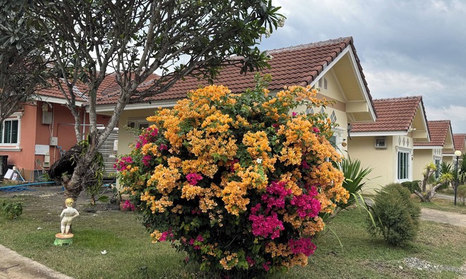 Soi Dao Hotel | Aivarata Resort