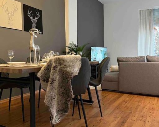 Magdeburg Apartment | AKK5 Großes Apartment mit Terrasse Nähe Hbf/Uni