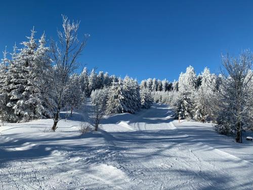 Hildfeld Apartment | Aktiv-Ferienwohnung "Snow & Bike"- Zentral zwischen Winterberg und Willingen