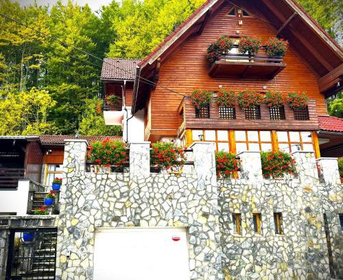 Sinaia House | ALISIO
