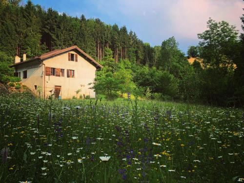 Soranzen Bed & Breakfast | Alla Casetta B&B