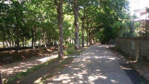 Poggio House | alloggio turistico olmata