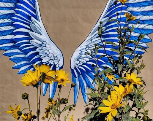 Las Grutas Apartment | Alquileres Grutenses