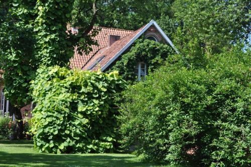 Bergen House | Alte Schule Bollersen