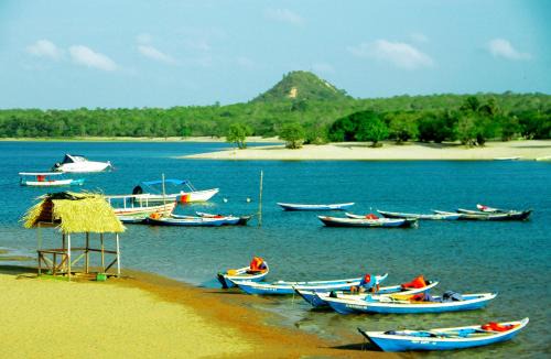 Alter do Chao House | Alter do chão linda