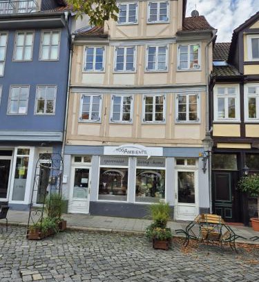 Braunschweig City Center Apartment | Altstadt Apartment mit Ausblick
