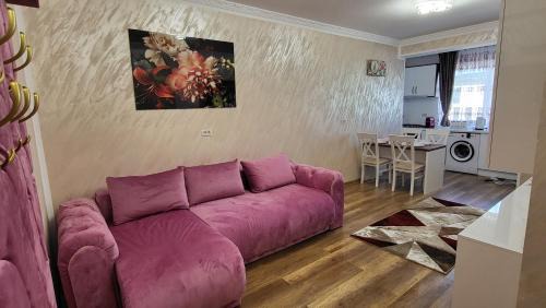 Scheia Apartment | Aly Apartaments Suceava