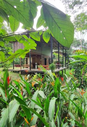 Leticia Cabin | Amazona Lodge