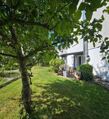 Muensingen Apartment | Ammonit