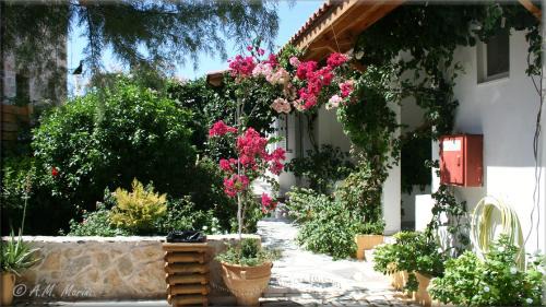 Xerokampos Apartment | Ampelos apartment and studios