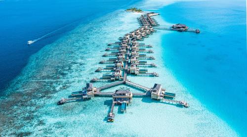 Velavaru Resort | Angsana Velavaru - all room type FREE Seaplane for 2 people for Minimum 7 Nights stay & 4-6 Nights get 20 percent off, only for BOOK and STAY period between 12 Oct - 23 Dec 2025