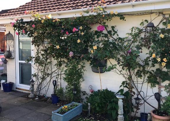 New Forest District Apartment | Annexe in lymington with private use of hot tub