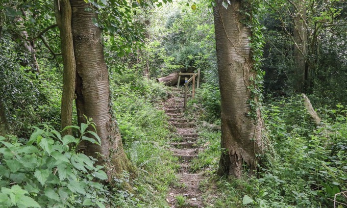 Blakeney Cottage | Anvil Cottage