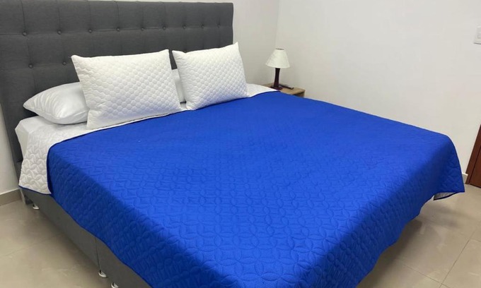 Centro International Hotel | Aparta Hotel Montealegre