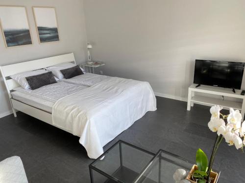 Swidnica Apartment | APARTAMENT ŚMIAŁEGO 9
