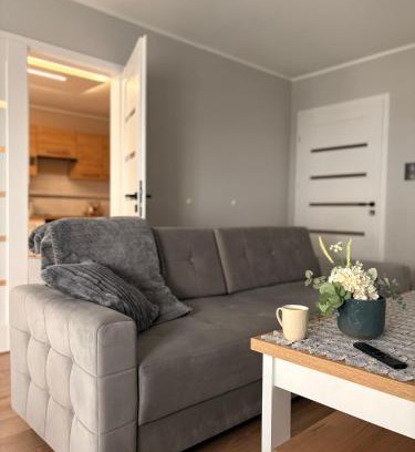 Głuchołazy Apartment | Apartament 11 na 10