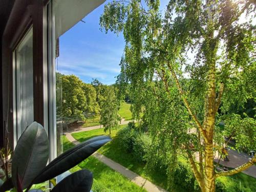 Chylonia Apartment | Apartament 2-pokojowy